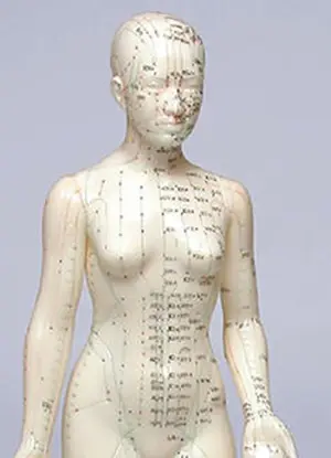 acupuncture meridian figure
